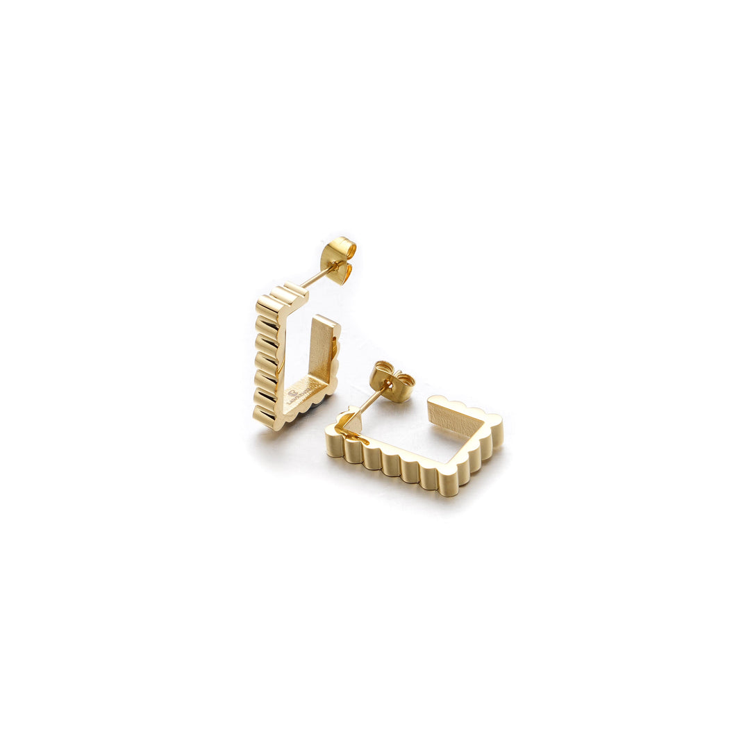 Adorned Earrings
